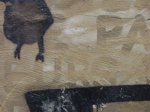 Trace 2 - Photographie - michel Leger