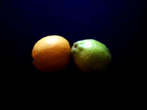 CITRON VERT CITRON JAUNE - Art num�rique - Anne