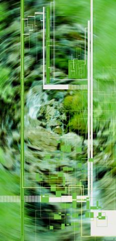 Forest - Art num�rique - YL