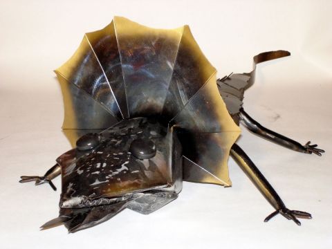 CROCOZARD - Mixte - jonathan surget