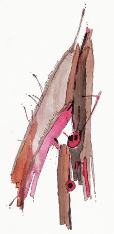 Dechirure calcul�e - Dessin - medora